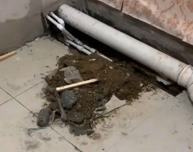 顺平卫生间漏水检测哪家好