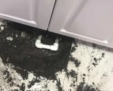 顺平查漏水哪家好