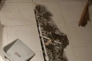 顺平卫生间漏水检测电话